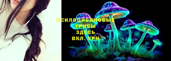 2c-b Балахна