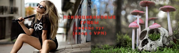 ГАЛЛЮЦИНОГЕННЫЕ ГРИБЫ Баксан