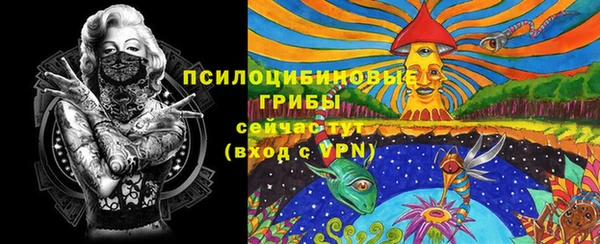 2c-b Балахна