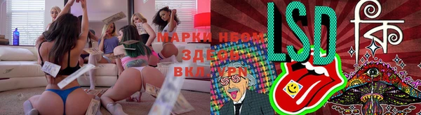 ГАЛЛЮЦИНОГЕННЫЕ ГРИБЫ Баксан