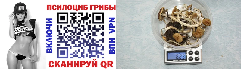 купить наркотики сайты Гороховец Галлюциногенные грибы ЛСД